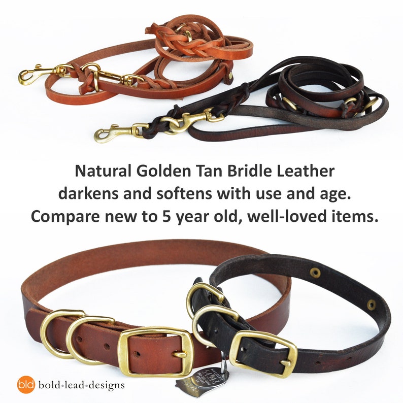 Leather Quick-Release Dog Collar in TAN or BLACK adjustable image 8