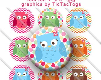 Colorful Owl Chevron Polka dot Bottle Cap Images Collage Digital Set 1 Inch Circle 4x6 - Instant Download - BC376