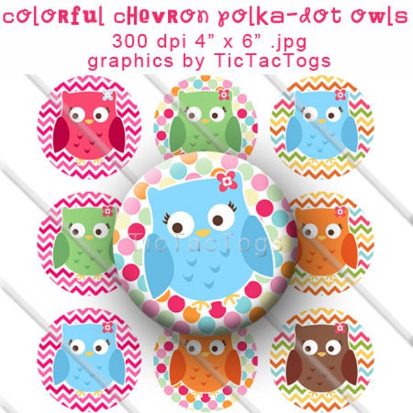 Colorful Owl Chevron Polka dot Bottle Cap Images Collage Digital Set 1 Inch Circle 4x6 - Instant Download - BC376