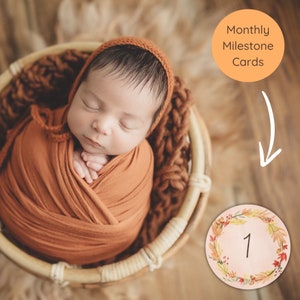 Conjunto de cartões de marco para bebês, outono, 1-12 meses, imprimível, cartão mensal, chá de bebê, presente, mês do bebê, guirlandas de outono, digital lp10