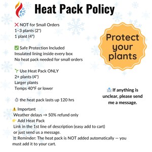 Puede incluir: Gr&aacute;fico blanco con el texto "Heat Pack Policy" e informaci&oacute;n sobre el uso de paquetes t&eacute;rmicos para pedidos de plantas. Incluye detalles sobre cu&aacute;ndo se necesita un paquete t&eacute;rmico y c&oacute;mo agregarlo.