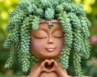 Planta suculenta Cola de burro / Sedum rastrero / Planta de interior (macetas de 2" y 4")