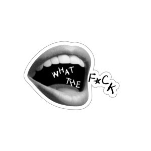 WHAT THE F*CK Sticker | Y2K Stickers | 2000s Style Sticker | Stickers | Laptop Sticker | Waterbottle Sticker | Quotes | Funny Sticker
