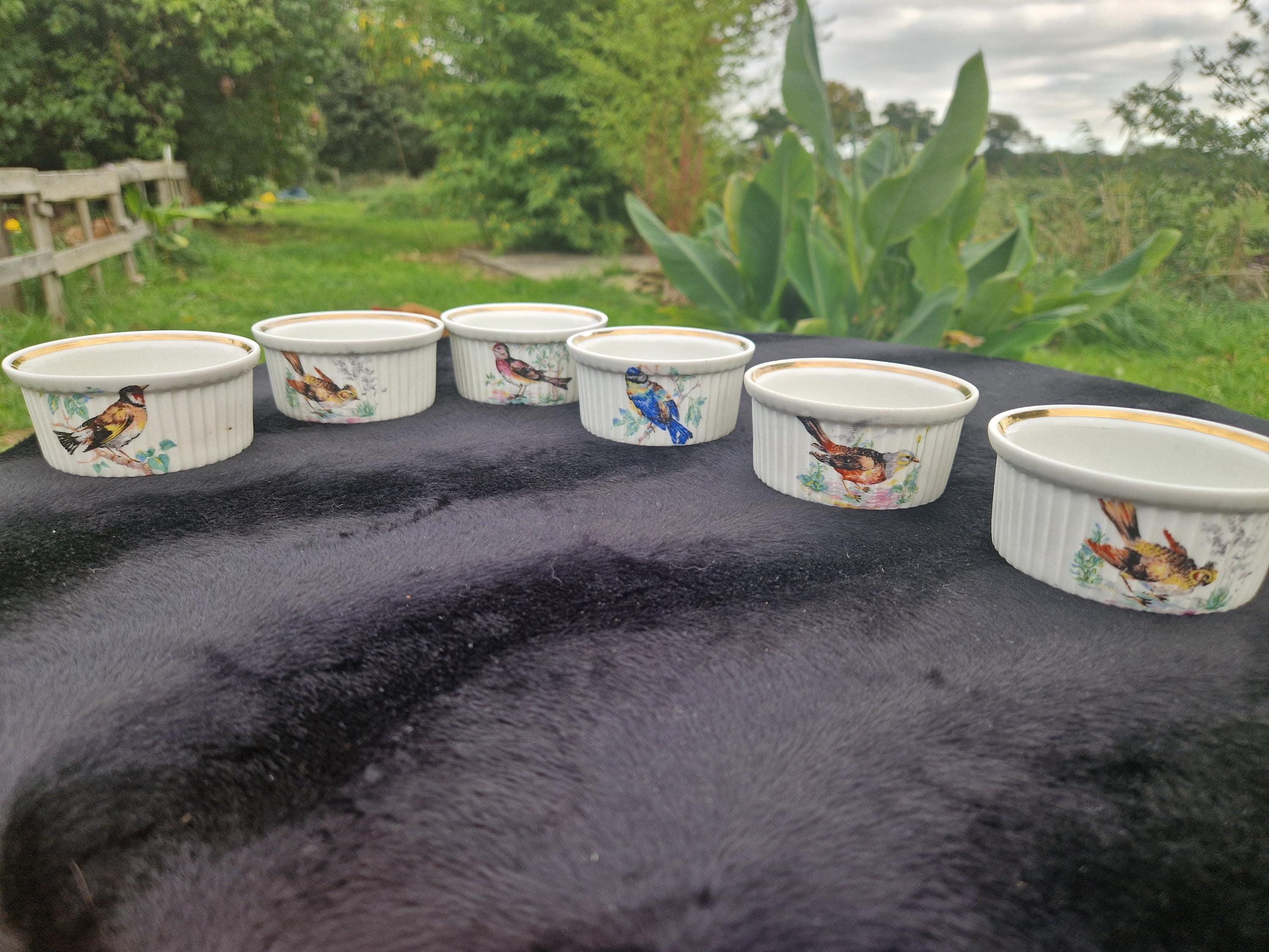 POÊLON AVEC COUVERCLE En Porcelaine à feu Pillivuyt Modèle Gentiane EUR 14,90 - FR