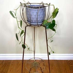 Puede incluir: Un soporte para plantas de metal dorado con base circular y una estructura de alambre en la parte superior que sostiene una maceta de cerámica azul claro. La maceta tiene un patrón de diamantes texturizado y una planta trepadora de hojas acorazonadas.