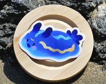 de limace de mer nudibranche de Zazzle.be Liste d'envies Vous avez des idées ? Chromodoridé de Porter (Felimare Porterae)