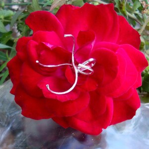 May include: A single red rose with a silver wire sculpture in the centre.