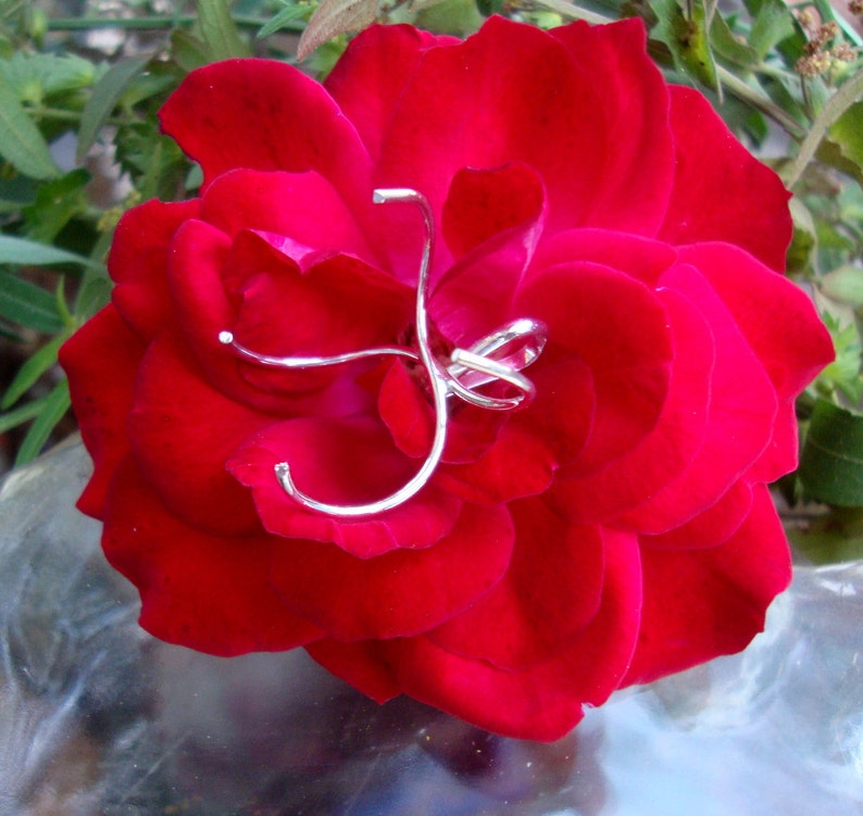 May include: A single red rose with a silver wire sculpture in the centre.
