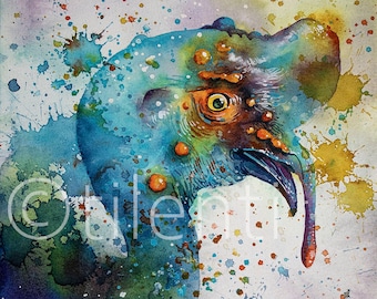 CASSOWARY • watercolor painting • 19x27cm • original painting