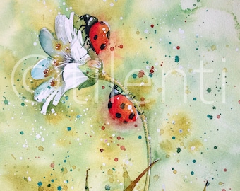 LADY BEETLES • watercolor painting • 19x27cm • 7.5x10.5 inches • original painting