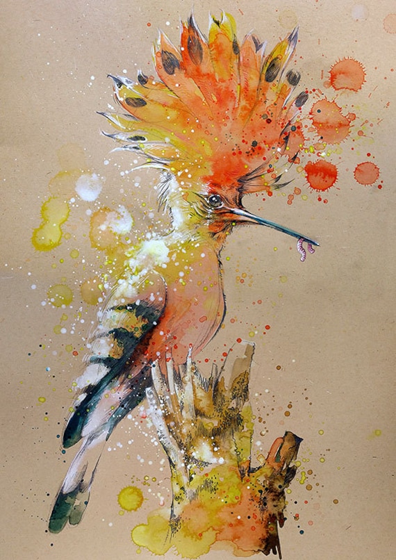 Hoopoe watercolor with pencil painting A4 A3 art print Etsy