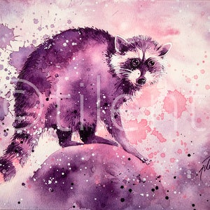 RACCOON • watercolor painting • A4 • A3 • art print