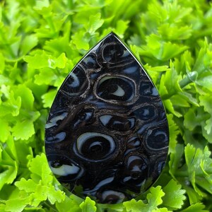 Rare Black Palm Root Cabochon Unique Fossil Pattern Petrified Wood Gemstone for Jewelry Making
