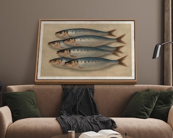 Vintage Sardine Framed Wall Art, Coastal Kitchen Decor, Large Canvas Wall Art, Nautical Fish Wall Art Print, Fish Lover Gift
