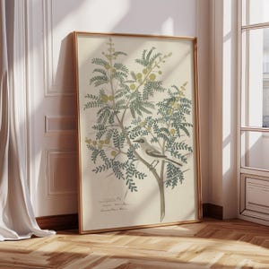 Vintage Flower Framed Wall Art, Floral Botanical Wall Art, Antique Bird Wall Art, Large Canvas Wall Art Print, Modern Farmhouse Wall Decor