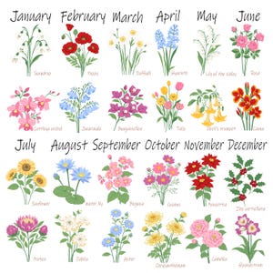Custom Family Birth Flower Bouquet Artwork, Botanical Boho Minimalist Gift for Mom, Housewarming Gift 画像 8