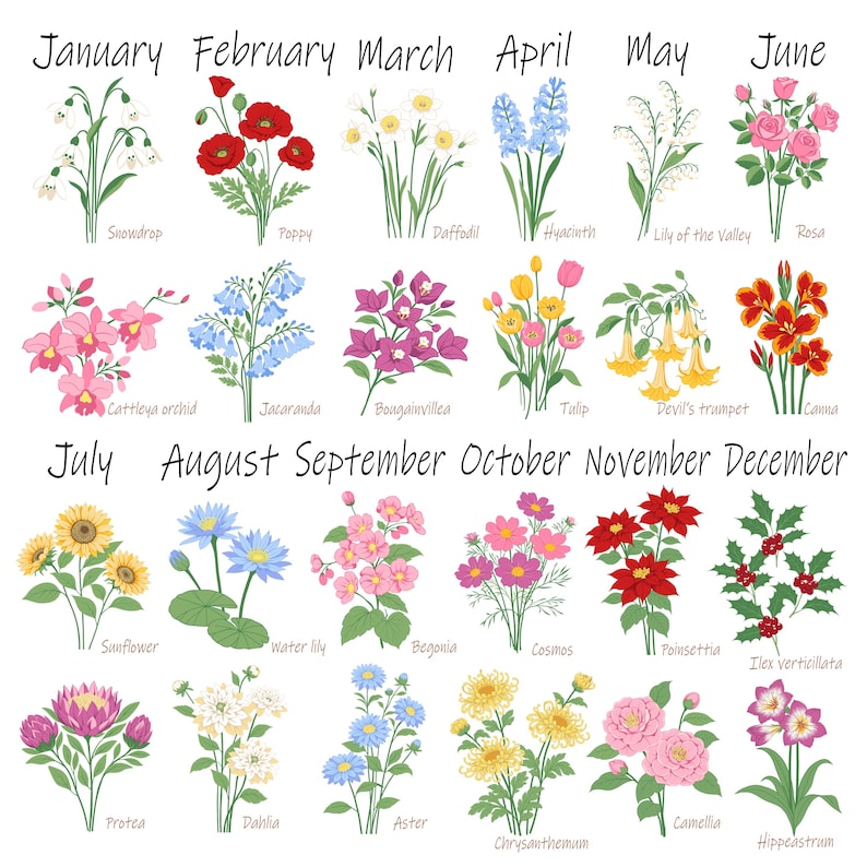 Custom Family Birth Flower Bouquet Artwork, Botanical Boho Minimalist Gift for Mom, Housewarming Gift 画像 8