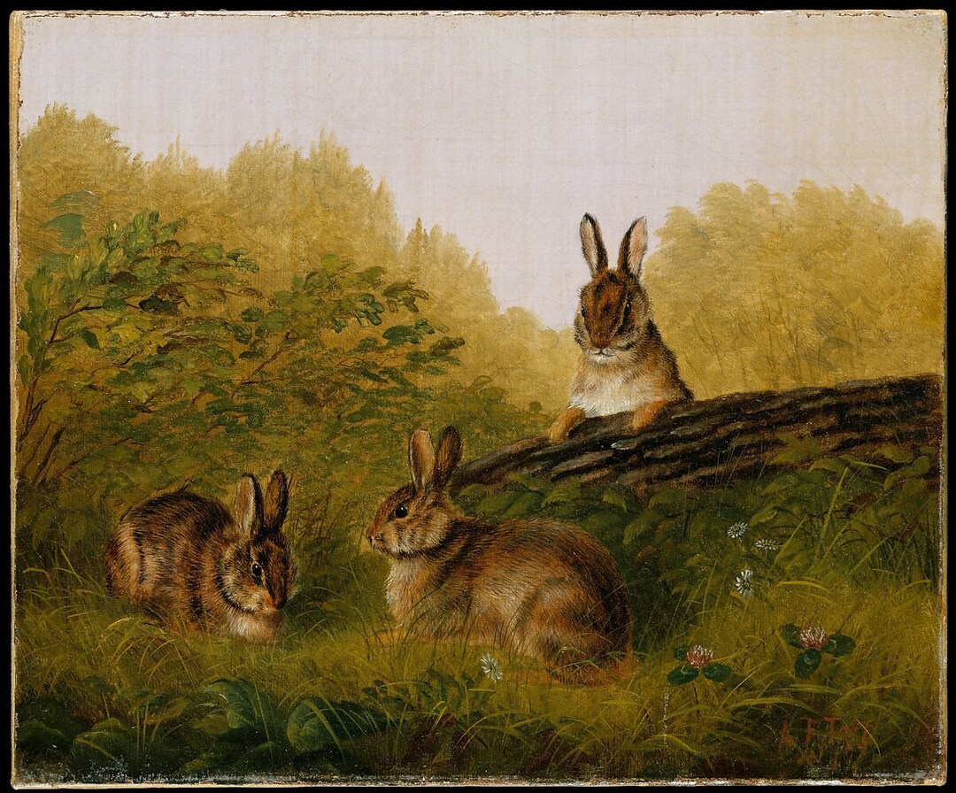 Rabbits on a Log by Arthur Fitzwilliam Tait 1897 - Etsy
