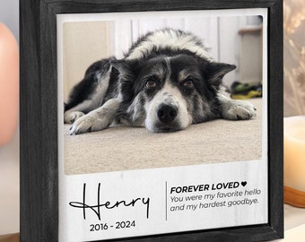 Pet Memorial Shadowbox With Photo, Pet Urn Memorial Shadow Box, Personaliz Dog/Cat Memorial Keepsake Shadowbox, Loss Of Pet Sympathy Gift