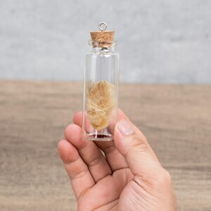May include: A small, clear glass vial with a cork stopper, containing a light brown, fibrous material. The vial has a silver loop at the top. The background is a light gray wall and a wooden surface.