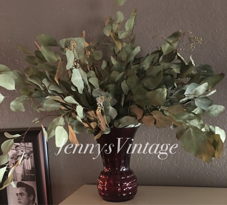 Dried Eucalyptus Bouquet Eucalyptus Leaves Dried Home Decor Etsy