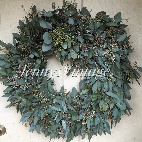 24" Fresh Eucalyptus Wreath, Eucalyptus Wreath, Silverdollar/ Banana Shaped Leaves Eucalyptus Wreath, Wreath with Wild Eucalyptus