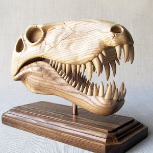 May include: A wooden dinosaur skull sculpture with detailed teeth and a textured surface. The skull is mounted on a dark wood base.