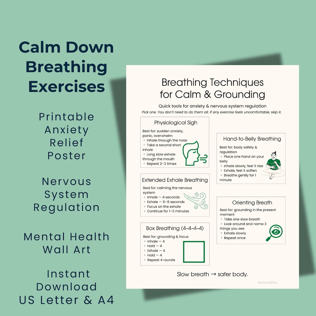 Printable Anxiety Relief Poster Nervous System Regulation Calm Down ...
