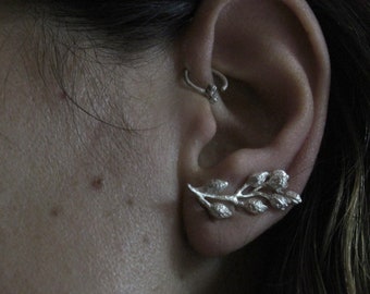 Pendientes trepadores de plata de ley: pendientes de novia con semillas orgánicas