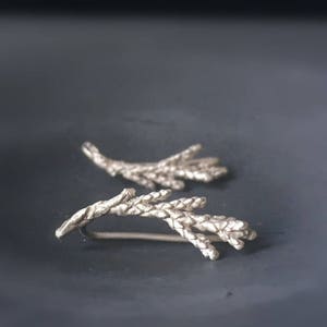 Sterling Silver Cedar Leaf Ear Climbers: Minimalist Earrings