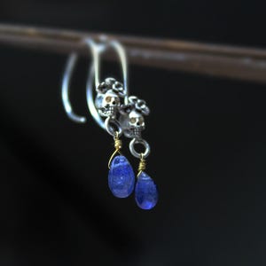 May include: Silver skull dangle earrings with blue teardrop gemstones.