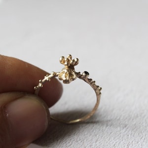 May include: A gold ring with a delicate, organic design featuring a cluster of small spheres at the top. The ring is made of a textured metal and has a simple, elegant style.