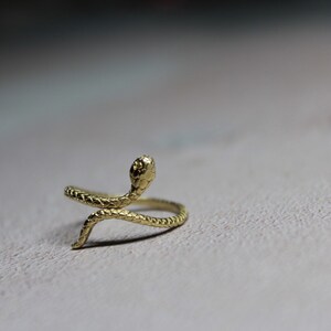 May include: A gold snake ring with a detailed, textured design. The snake is curled around the ring band, with its head raised and facing forward.