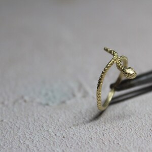 May include: A gold snake ring with a textured finish. The snake is coiled and the head is facing the viewer.