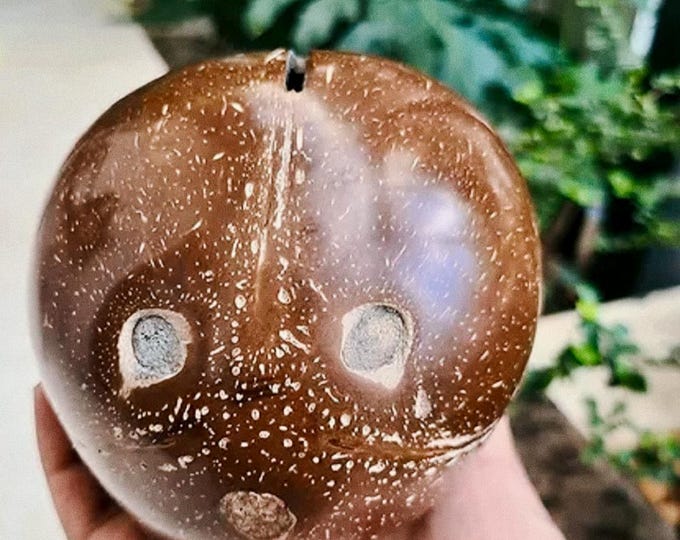 Handmade Coconut Shell Piggy Bank: Eco-Friendly Savings Jar