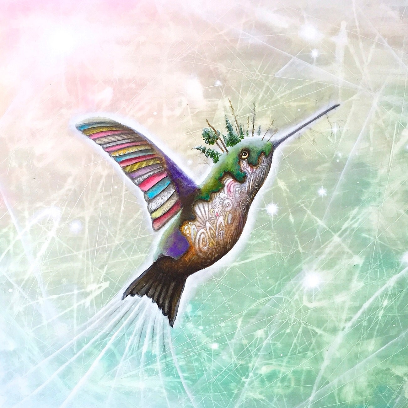 原画　ハチドリ　鳥　動物画　絵画　アクリル画　現代アート　細密画　手描き　一点物 原画 金魚 動物画 絵画 アクリル画 現代アート 細密画 手描き