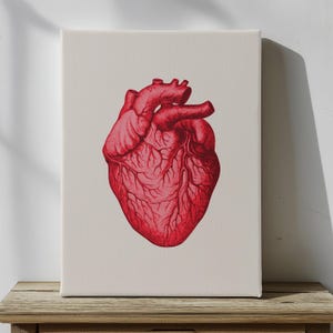 Anatomical Heart Wall Art | Minimalistic Anatomy Print | Vintage Medical Decor | Heart Art for Home Decor | UNFRAMED