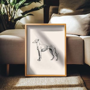 Vintage Greyhound Print: Dog Lover Wall Art (UNFRAMED)