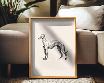 Vintage Greyhound Print: Dog Lover Wall Art (UNFRAMED)