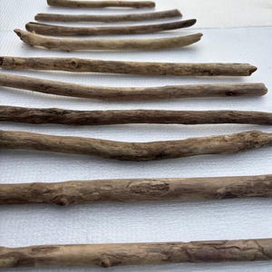 Driftwood sticks bundle-wood for crafts, terrariums, & fairy garden. Branch for macrame/macrame  supplies- home decor/straight driftwood