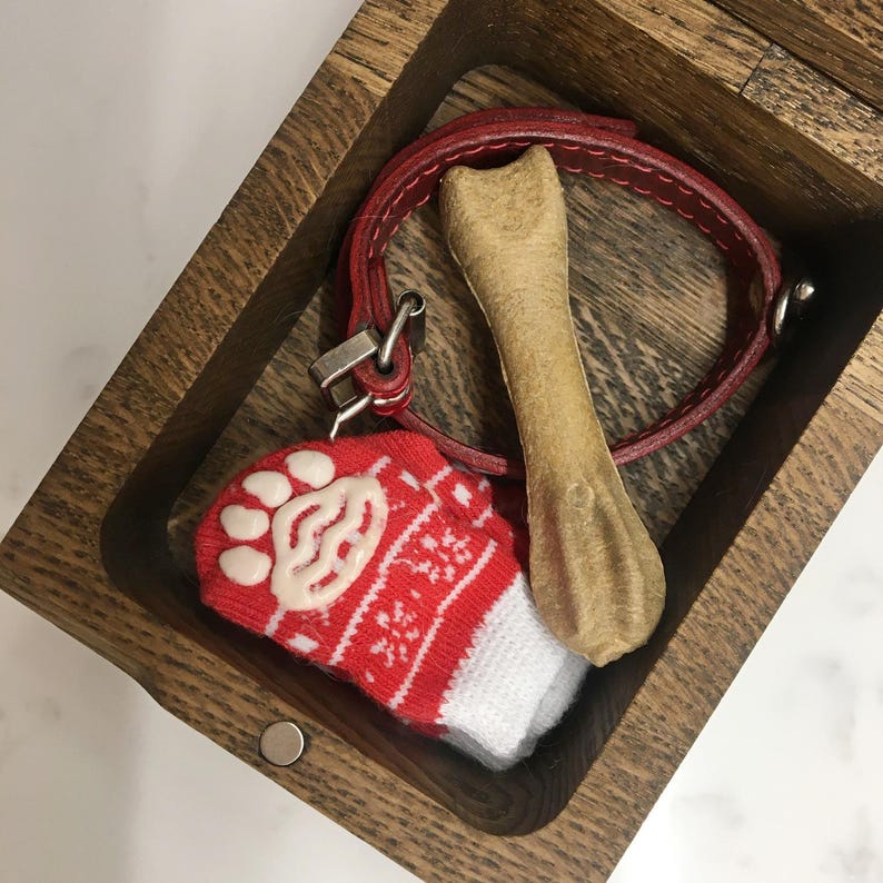 May include: A red leather dog collar with a silver buckle, a red and white paw print sock, and a tan dog bone are inside a wooden box. The sock has a white paw print design.