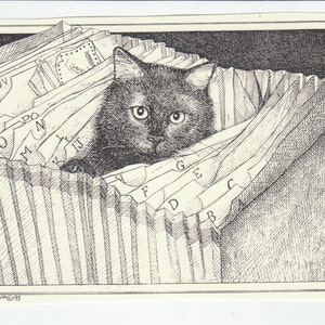 May include: A black cat peeking out from a stack of file folders labeled with letters of the alphabet. The cat's eyes are wide open and it is looking directly at the viewer.