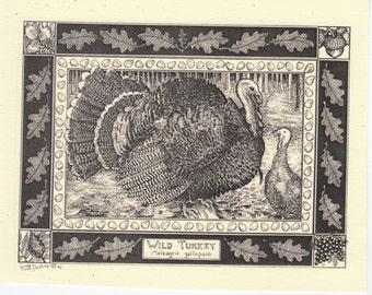 Wild Turkey- This 6-pack of blank, ivory notecards with envelopes features an ink drawing by Linda Cook DeVona of a Wild Turkey.