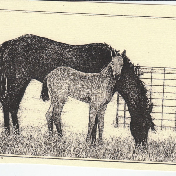 Mare and Foal-This six-pack of blank, ivory cards with matching envelopes features a pen-and-ink drawing by Linda DeVona of a mare and foal.