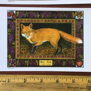 Red Fox set of 4 color postcards on white 80 cardstock drawn by LC DeVona image 2