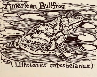 American Bullfrog (Lithobates catesbeianus)-set of 6 blank, ivory notecards with envelopes created, carved and printed by LC DeVona