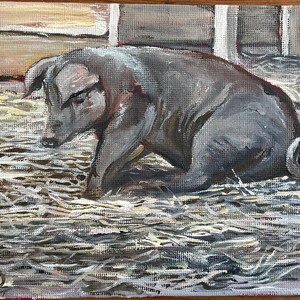 May include: An original painting of a pig in a barn setting. The pig is gray and appears to be resting in a bed of straw. The painting is signed in the lower left corner. The artwork is on a canvas.