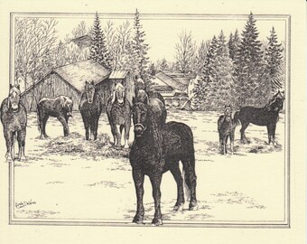 Horse Haven!This 6-pack of blank, ivory cards shows finely detailed pen-and-ink drawings of a group of Belgian work horses on a wintry day.