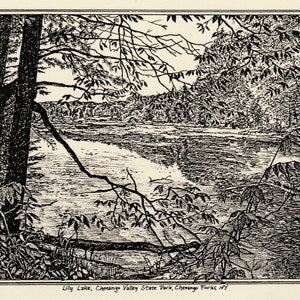 May include: A black and white line drawing of a lake scene. The lake is surrounded by trees and the water is calm. The text "Lily Lake, Chenango Valley State Park, Chenango Forks, NY" is at the bottom of the image.