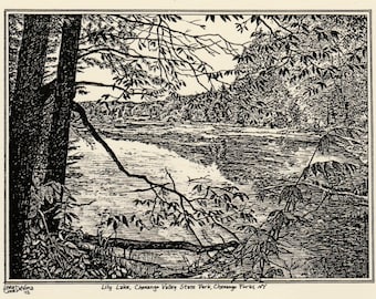 Lily Lake at CV State Park-This 6-pack of blank, ivory notecards w envelopes features an ink drawing of Lily Lake by LC DeVona of Afton,NY